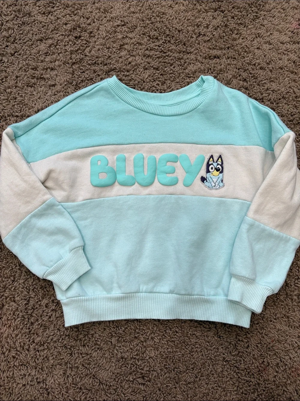 Disney Aqua & Cream Bluey Colorblock Kids Sweatshirt
